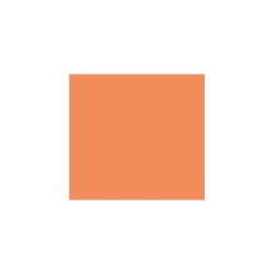 Set de plateau uni 
21.6 x 23.3 
(antidérapant) couleur:Saumon