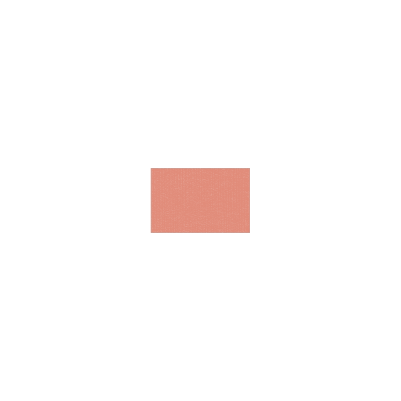 Set de plateau uni 
15.2 x 23.3
(non tissé 72 gr aspect peau de pêche) couleur:Tarama