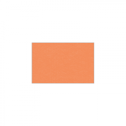 Set de plateau uni 
15.2 x 23.3
(non tissé 72 gr aspect peau de pêche) couleur:Saumon