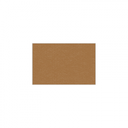 Set de plateau uni 
15.2 x 23.3
(non tissé 72 gr aspect peau de pêche) couleur:Havane
