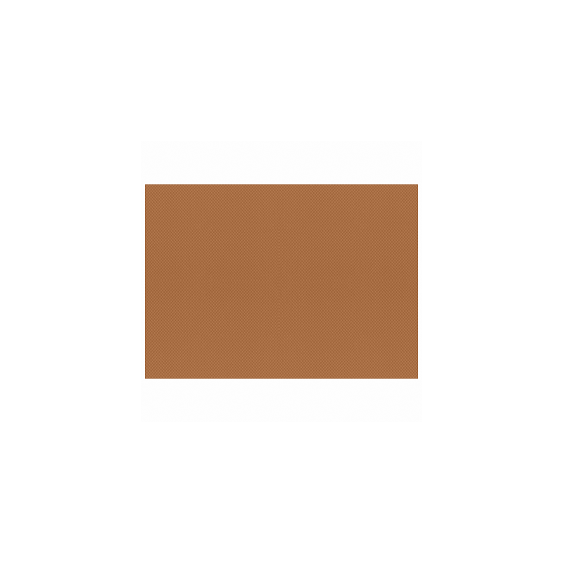 Set de table uni 
30 x 40 
(papier gaufré 60 gr*) couleur:Cognac