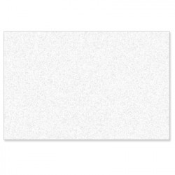 Tapis de sortie de bain / douche - GM
40 x 61 - blanc
(non tissé 150 gr) 