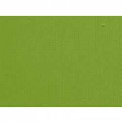 Set de table uni
30 x 40
(non tissé spunbond 60 gr* top qualité) couleur:Kiwi