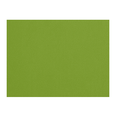 Set de table uni
30 x 40
(non tissé spunbond 60 gr* top qualité) couleur:Kiwi