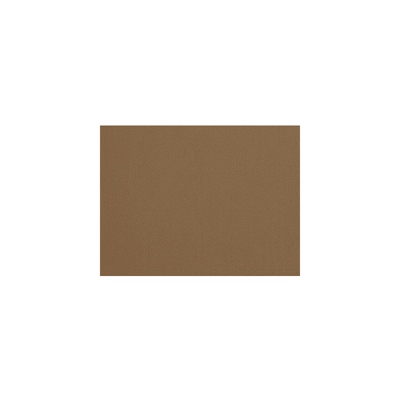 Set de table uni
30 x 40
(non tissé spunbond 60 gr* top qualité) couleur:Havane