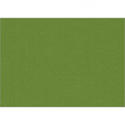 Set de table uni 
34 x 48
(non tissé 72 gr aspect peau de pêche) couleur:Avocat