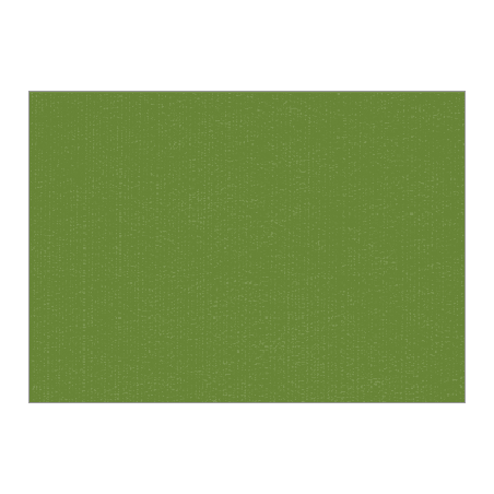 Set de table uni 
34 x 48
(non tissé 72 gr aspect peau de pêche) couleur:Avocat