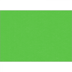 Set de table uni 
34 x 48
(non tissé 72 gr aspect peau de pêche) couleur:Pomme