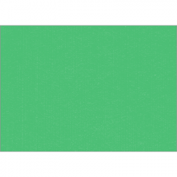 Set de table uni 
34 x 48
(non tissé 72 gr aspect peau de pêche) couleur:Chlorophylle