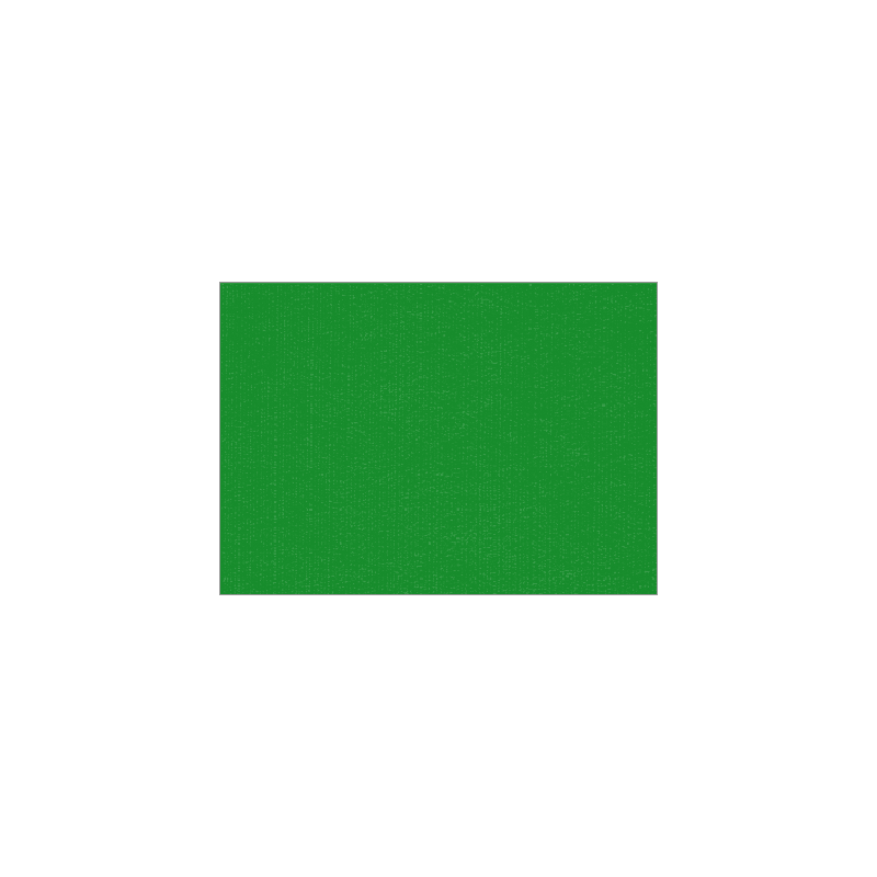 Set de table uni 
34 x 48
(non tissé 72 gr aspect peau de pêche) couleur:Vert