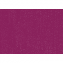 Set de table uni 
34 x 48
(non tissé 72 gr aspect peau de pêche) couleur:Prune