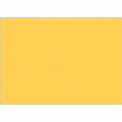 Set de table uni 
34 x 48
(non tissé 72 gr aspect peau de pêche) couleur:Abricot